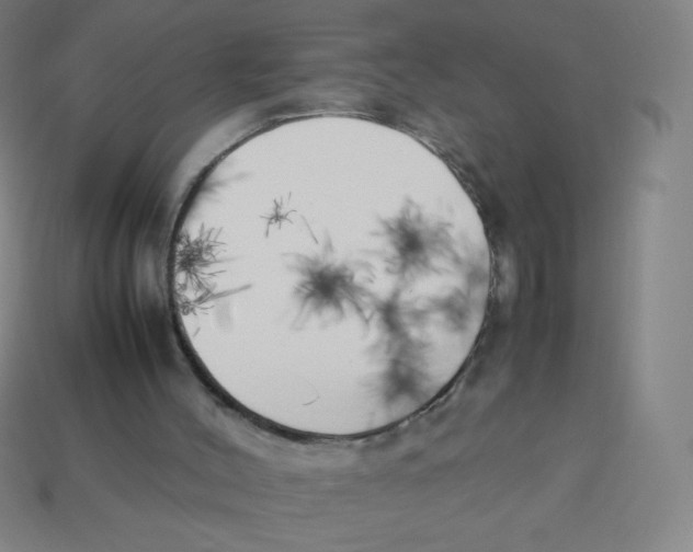 X0000113890004200910221427