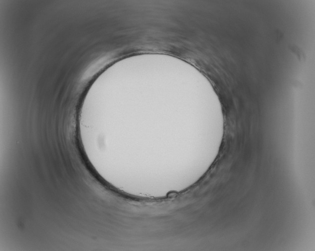 X0000113890005200910221427
