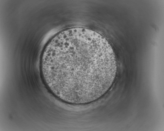 X0000113890006200910221427