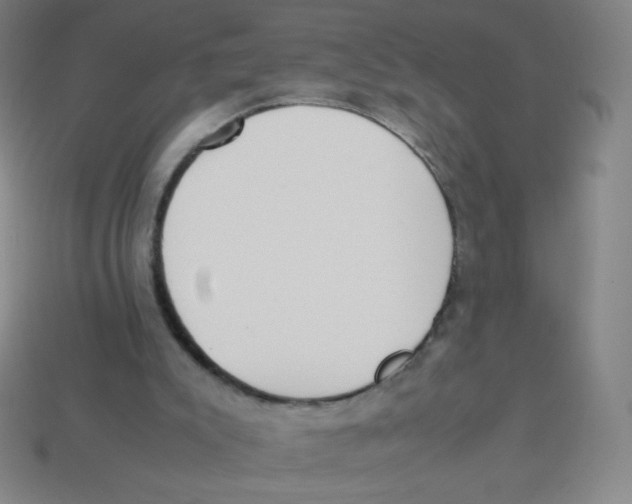 X0000113890007200910221426