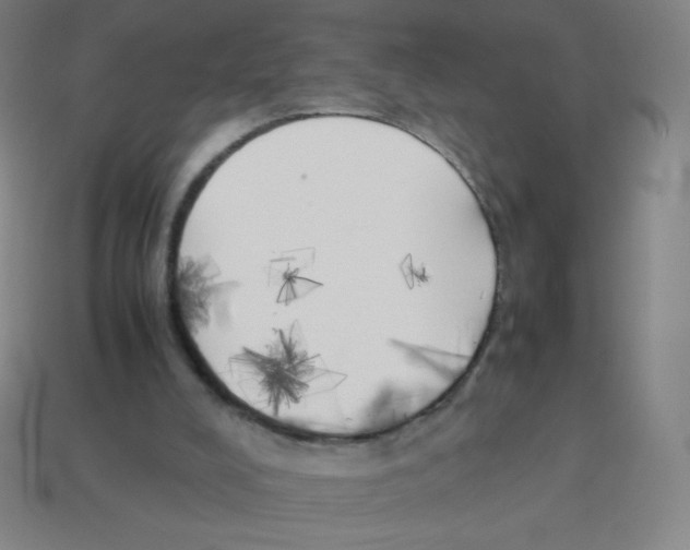 X0000113890008200910221426