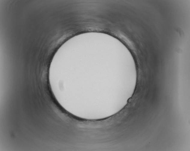 X0000113890009200910221426