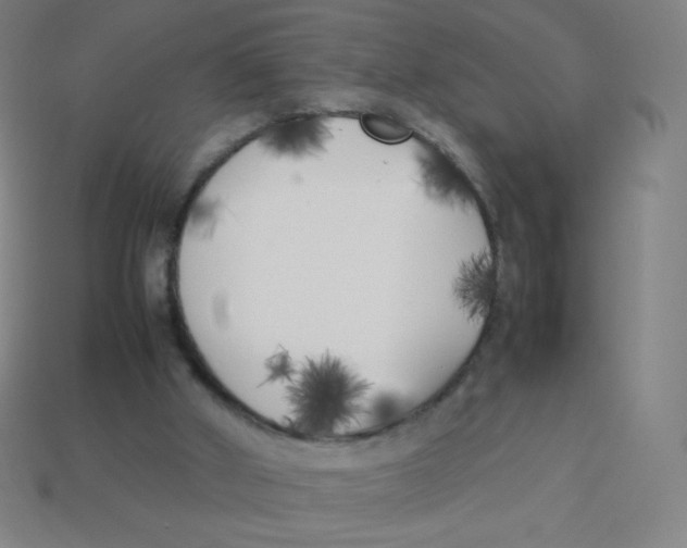 X0000113890010200910221426