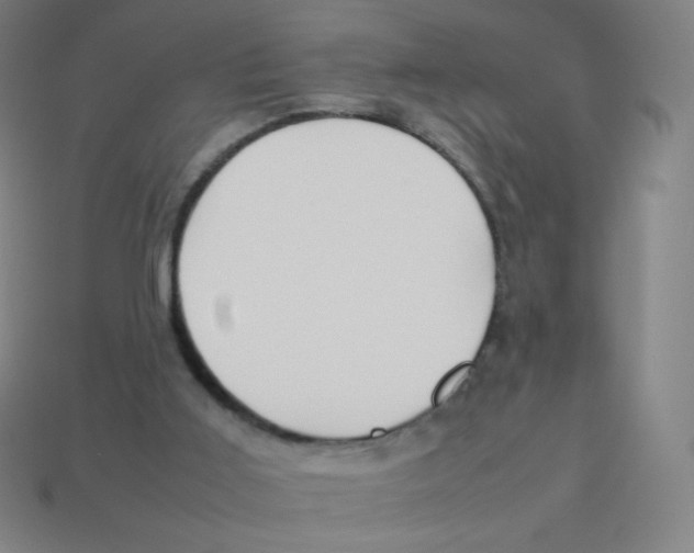 X0000113890011200910221426