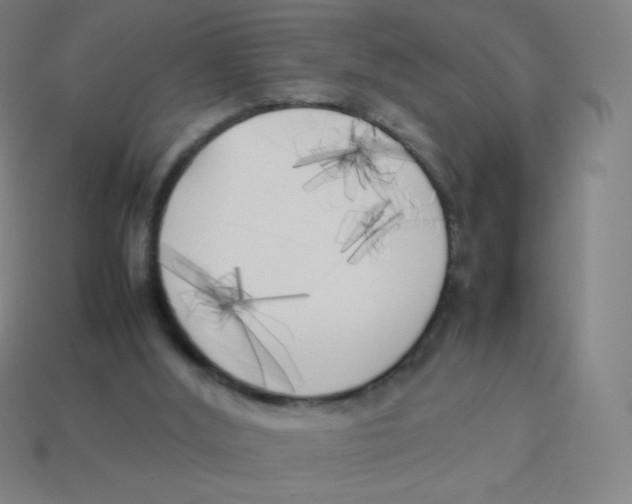 X0000113890012200910221426