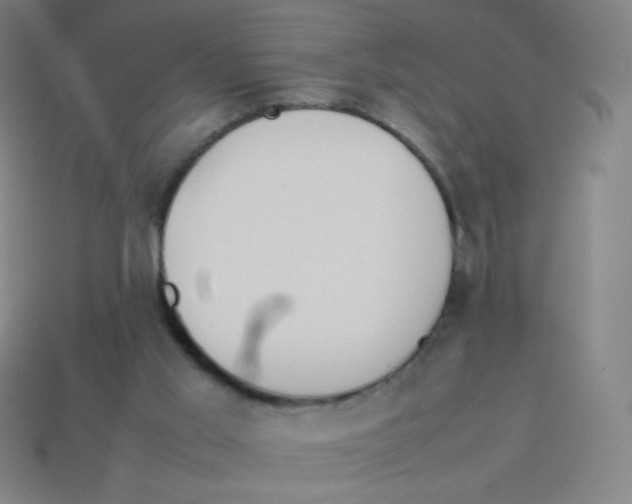X0000113890013200910221426