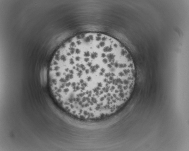 X0000113890014200910221426