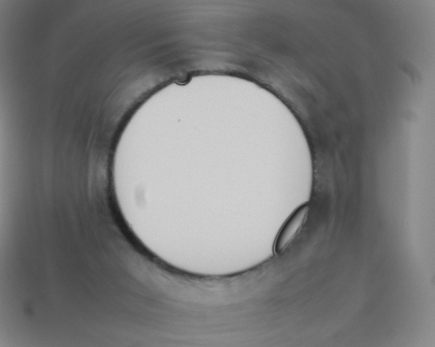 X0000113890015200910221426