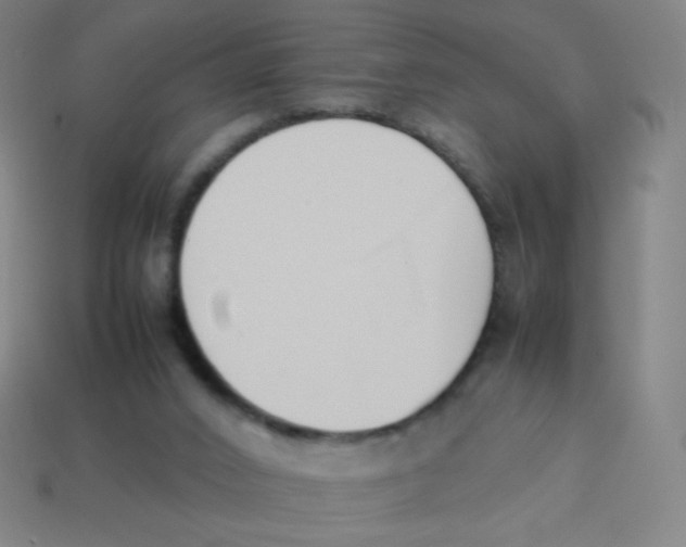X0000113890016200910221426