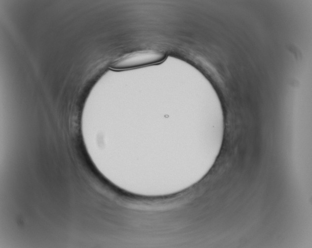 X0000113890017200910221426