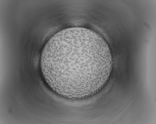X0000113890018200910221426
