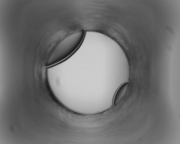 X0000113890019200910221426