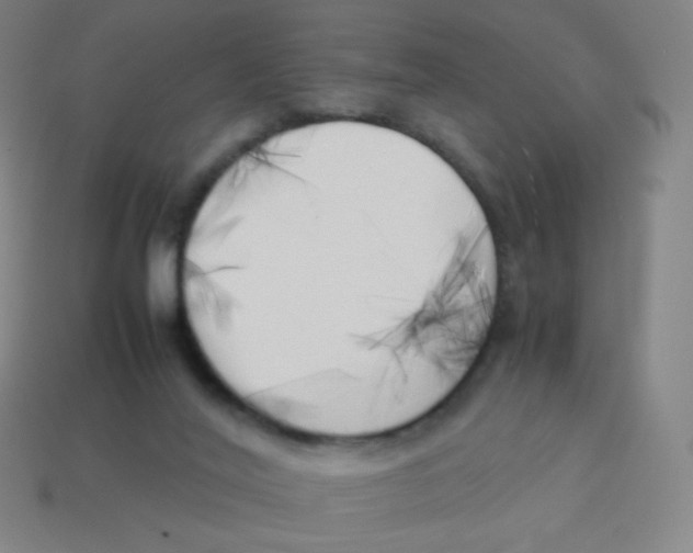 X0000113890020200910221426