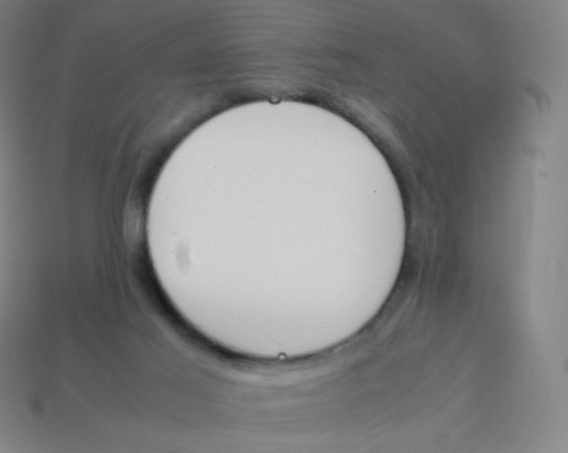 X0000113890021200910221426