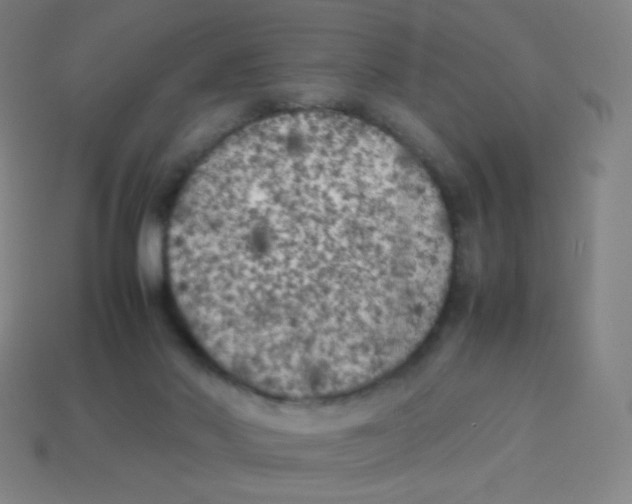 X0000113890022200910221426