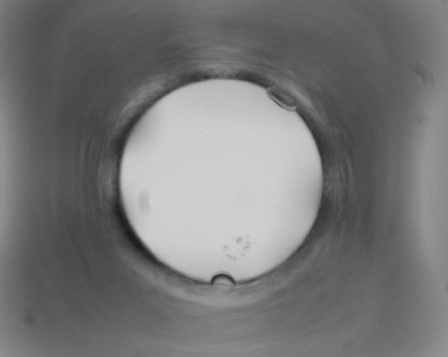 X0000113890023200910221426