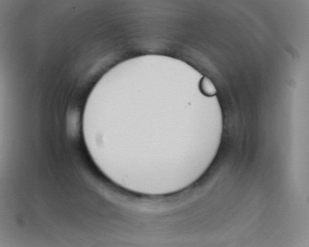 X0000113890024200910221426
