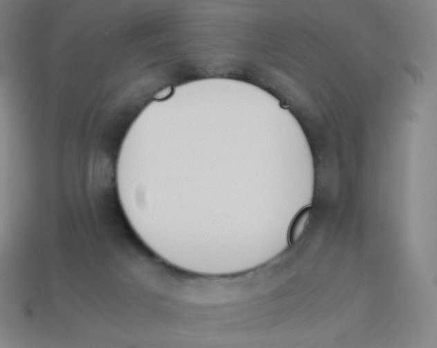 X0000113890025200910221426