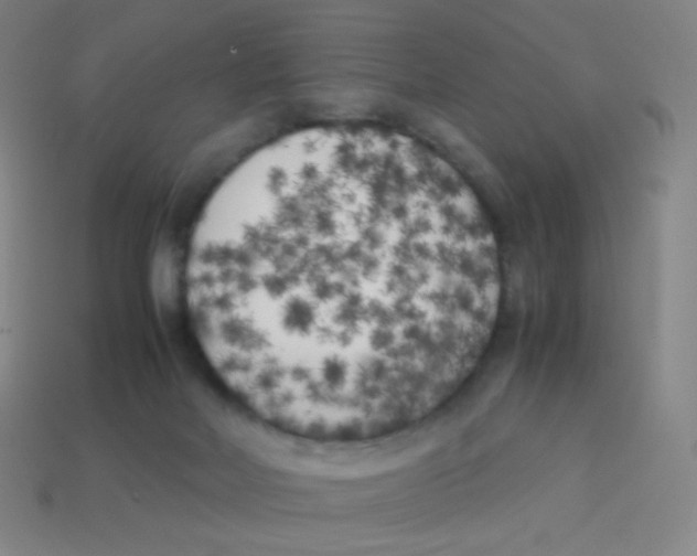 X0000113890026200910221426