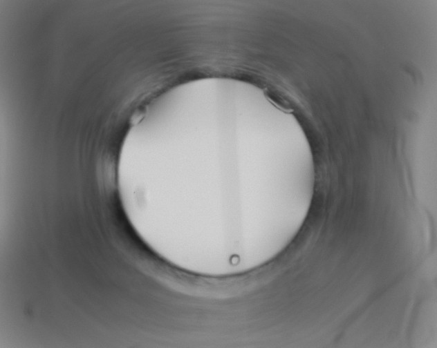 X0000113890027200910221426