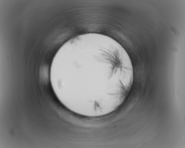 X0000113890028200910221426
