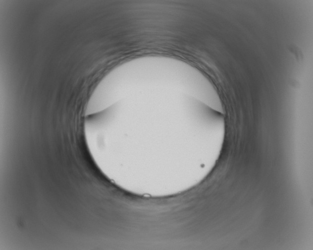 X0000113890029200910221426