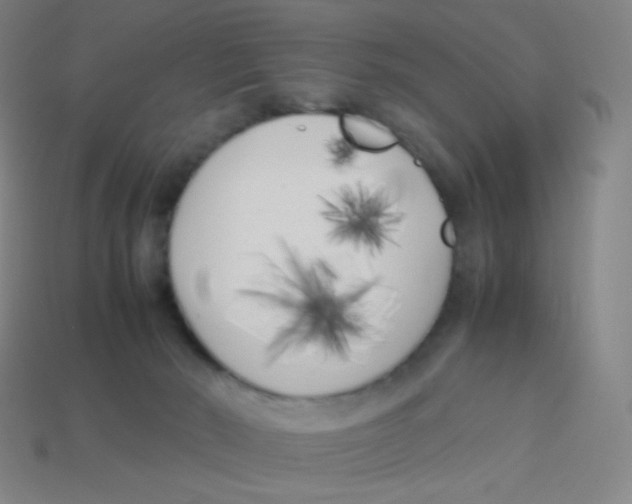 X0000113890030200910221426