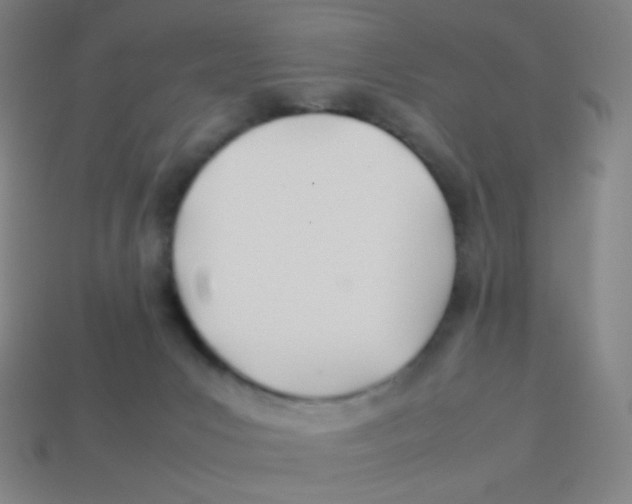 X0000113890031200910221426