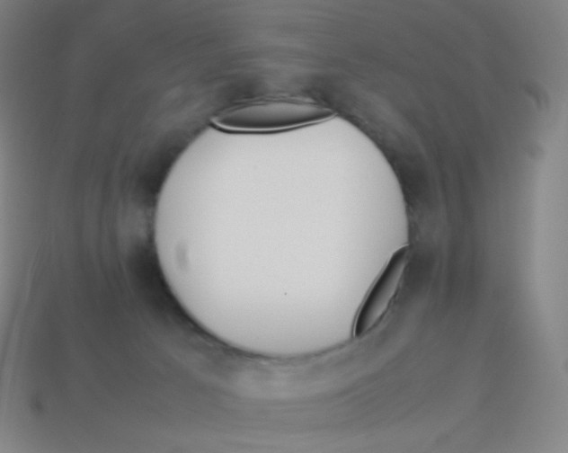 X0000113890033200910221426