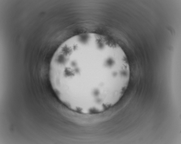 X0000113890034200910221426