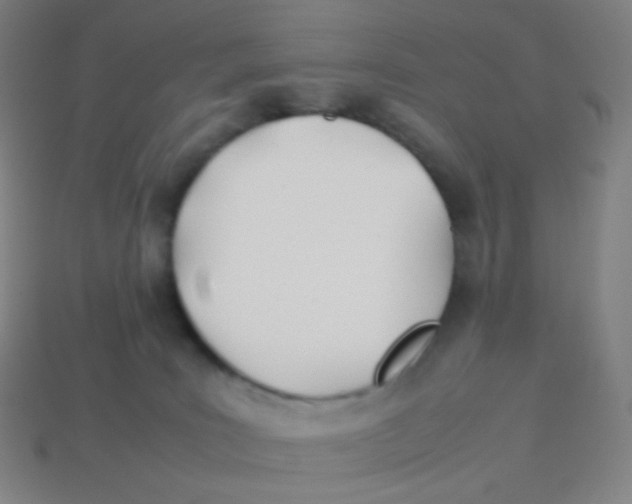 X0000113890035200910221426