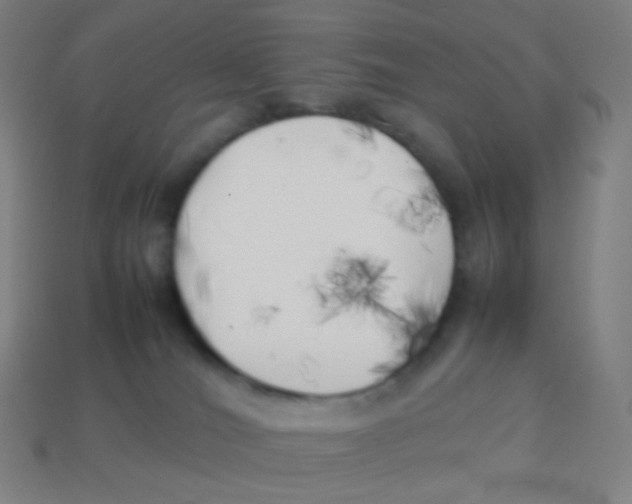 X0000113890036200910221426