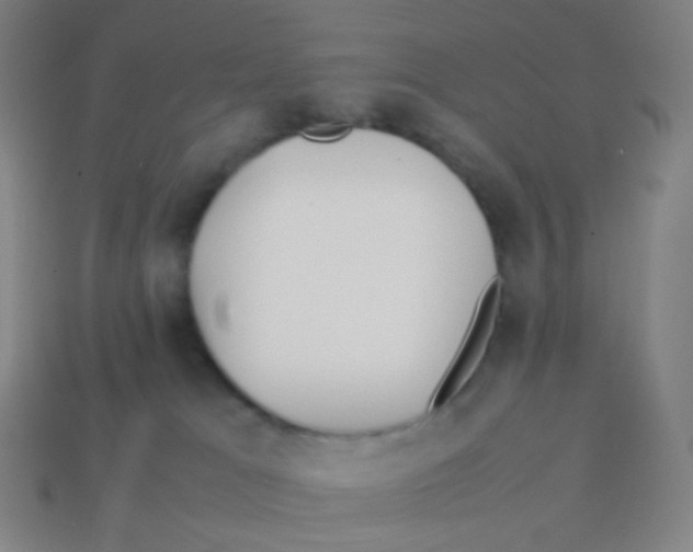 X0000113890037200910221426