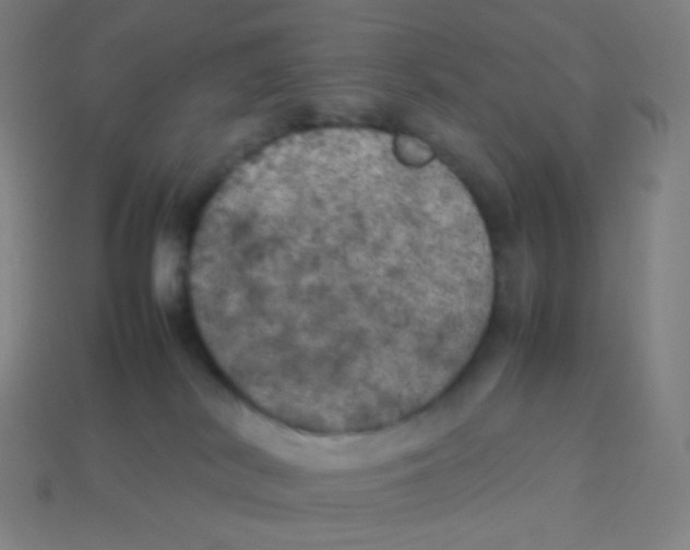 X0000113890038200910221426