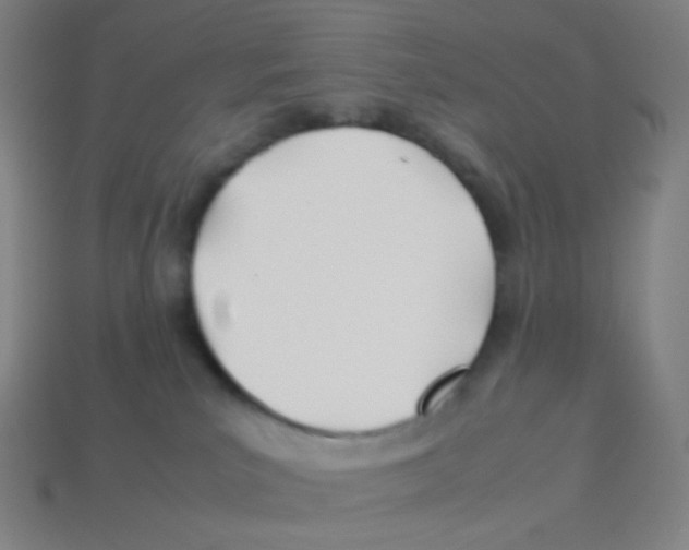 X0000113890039200910221426