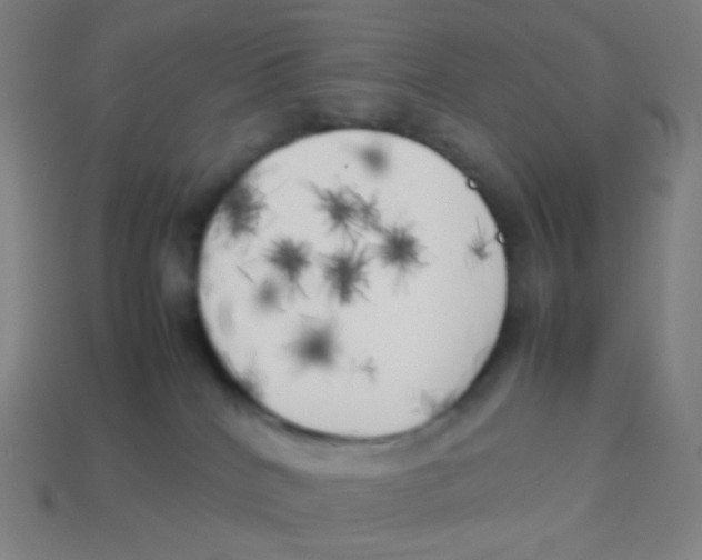 X0000113890040200910221426