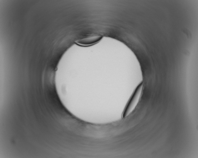 X0000113890041200910221426