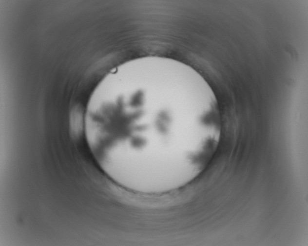 X0000113890042200910221426