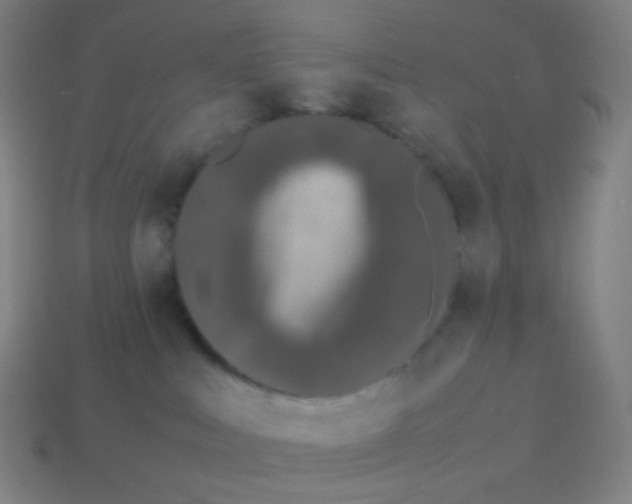 X0000113890043200910221426