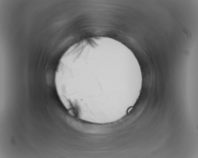 X0000113890044200910221426