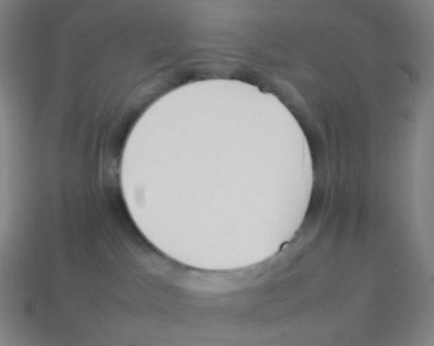 X0000113890045200910221426
