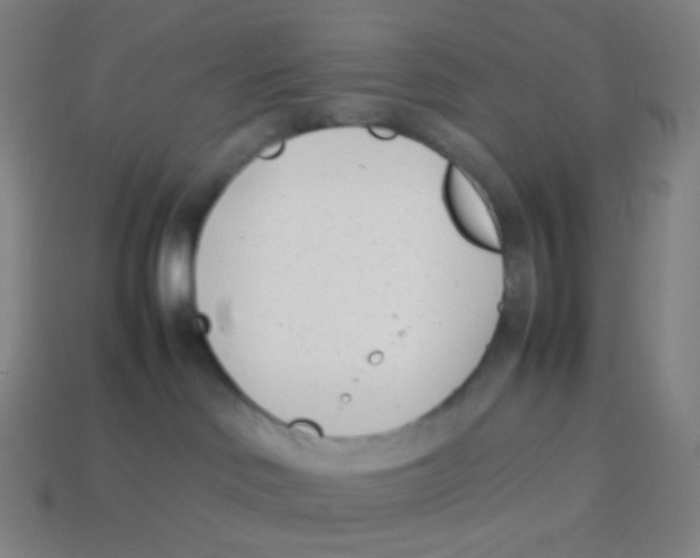 X0000113890046200910221426