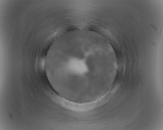 X0000113890047200910221426