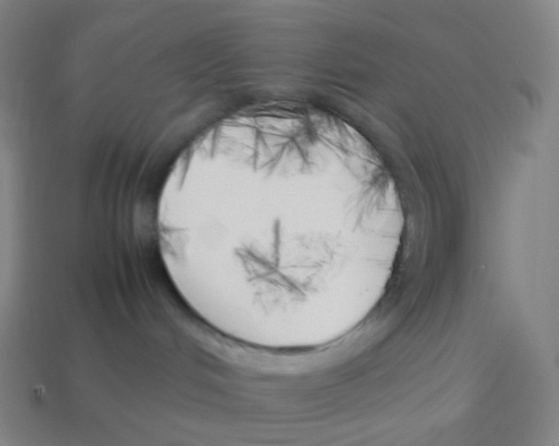 X0000113890048200910221426