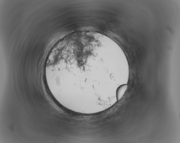 X0000113890049200910221425