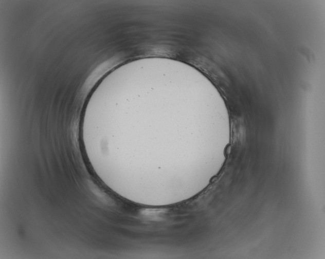 X0000113890051200910221425