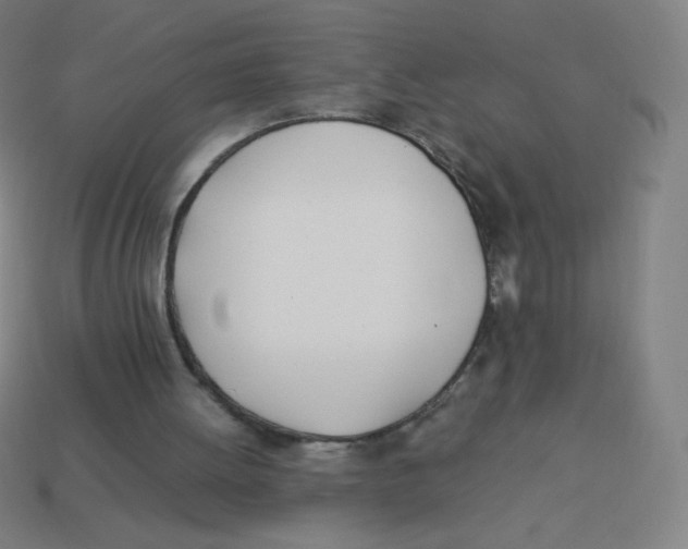 X0000113890052200910221425