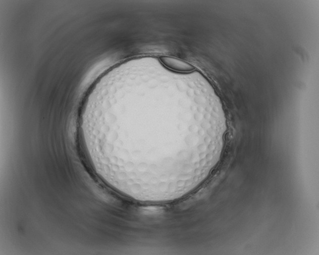 X0000113890053200910221425