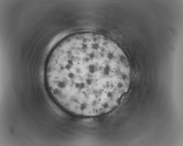 X0000113890054200910221425