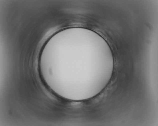 X0000113890055200910221425